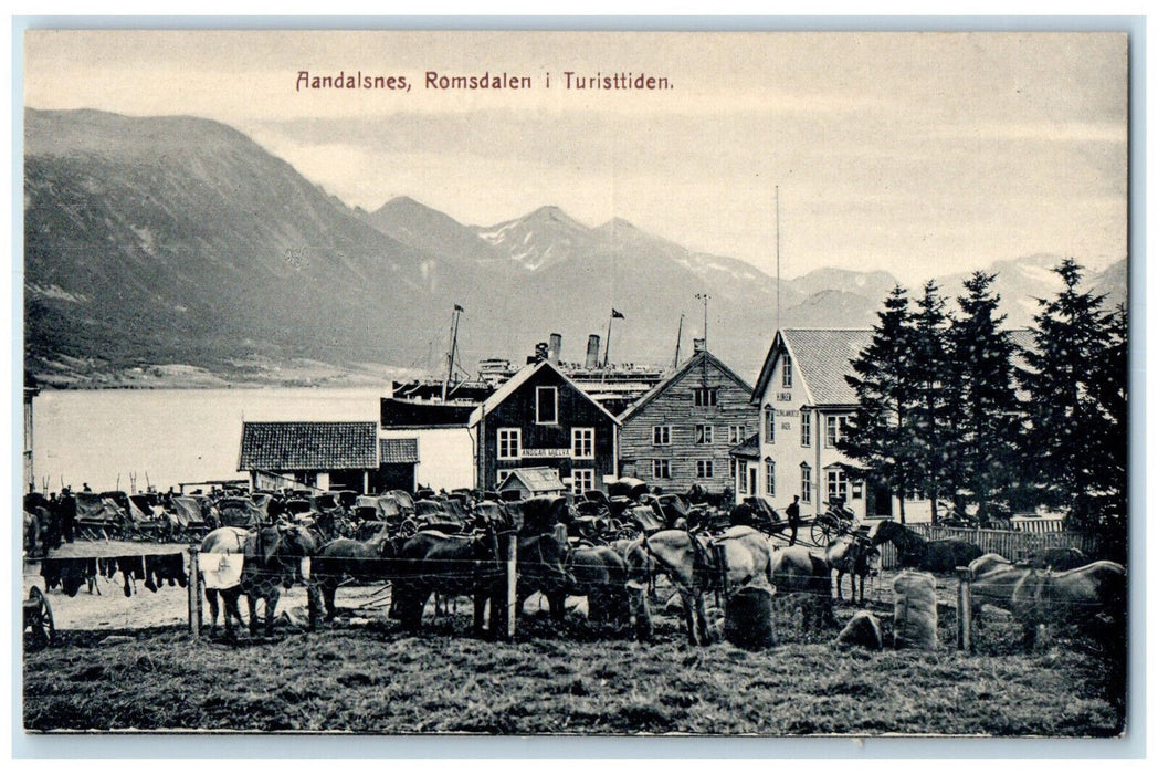 c1910 Aandalsnes Romsdalen in the Tourist Era Norway Horse Carriage Postcard