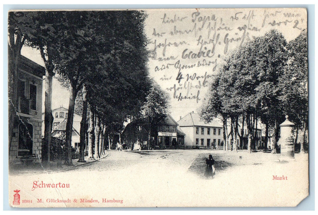 1907 Schwartau Market Bad Schwartau Germany Posted Antique Postcard