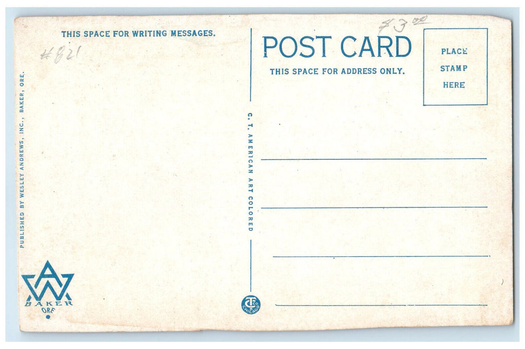 c1920's Long Bell Lumber Mills Columbia River Longview Washington WA Postcard
