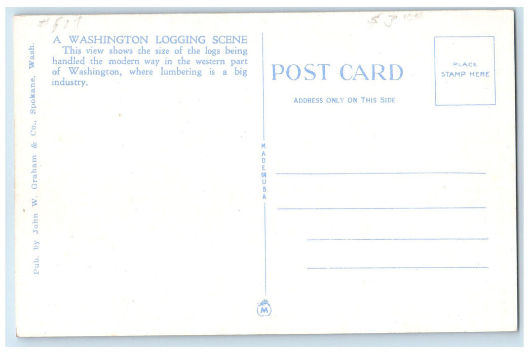 c1920's Big Tree Log A North West Logging Scene Washington WA Antique Postcard
