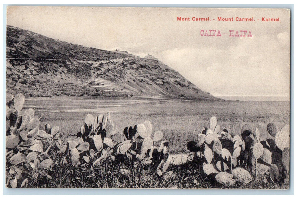 c1910 Mount Carmel Cactus View Haifa Israel Unposted Antique Postcard