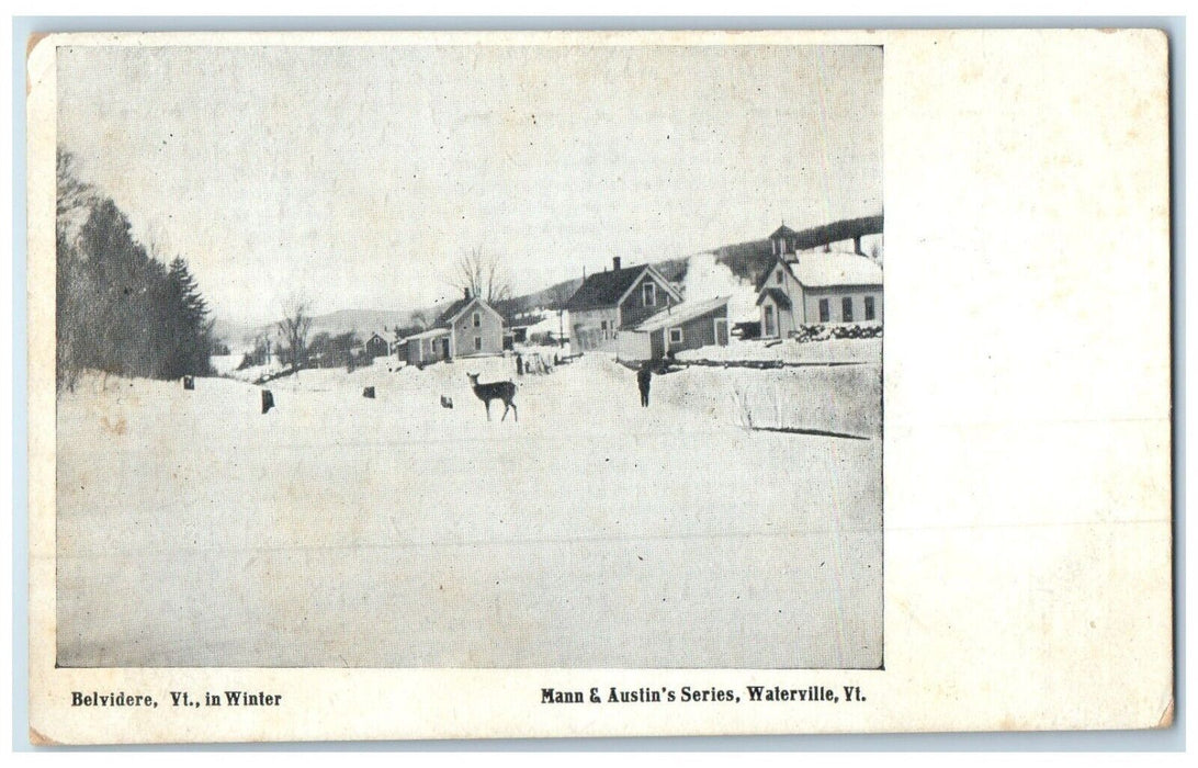 c1910 Belvidere Mann Austin Series Snow Winter Deer Waterville Vermont Postcard