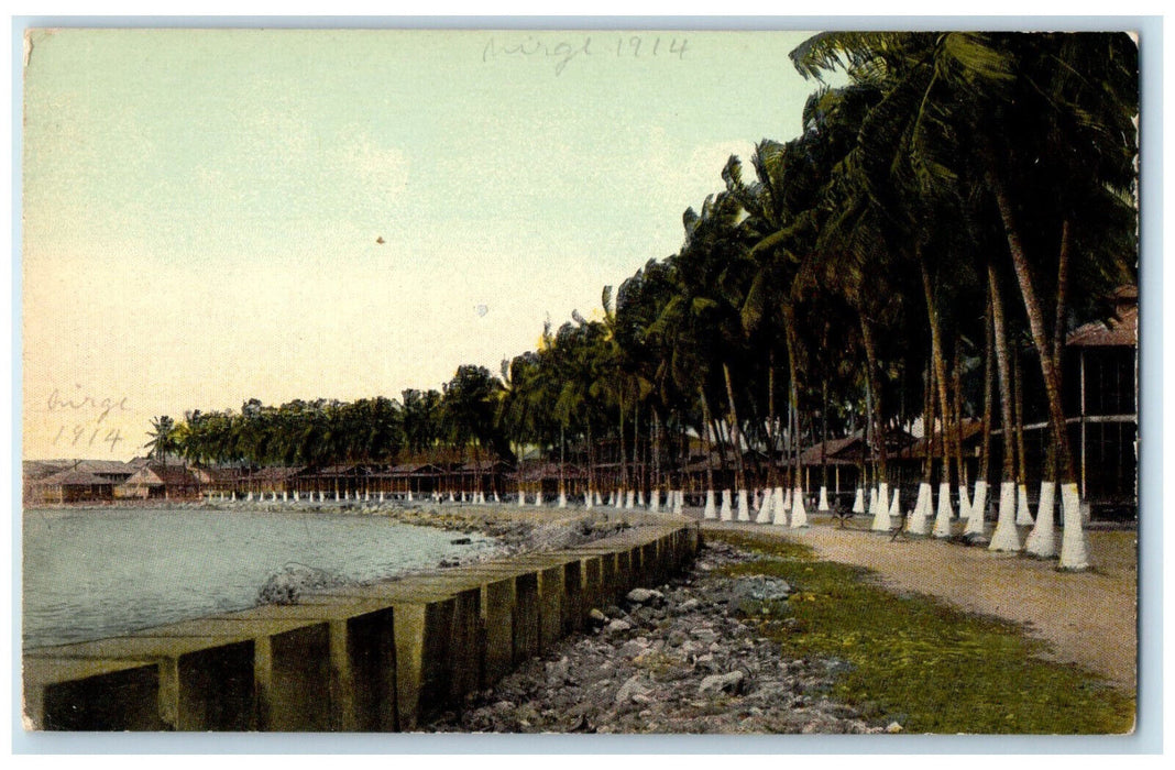 1914 Beautiful Boulevard at Cristobal Panama Antique Unposted Postcard