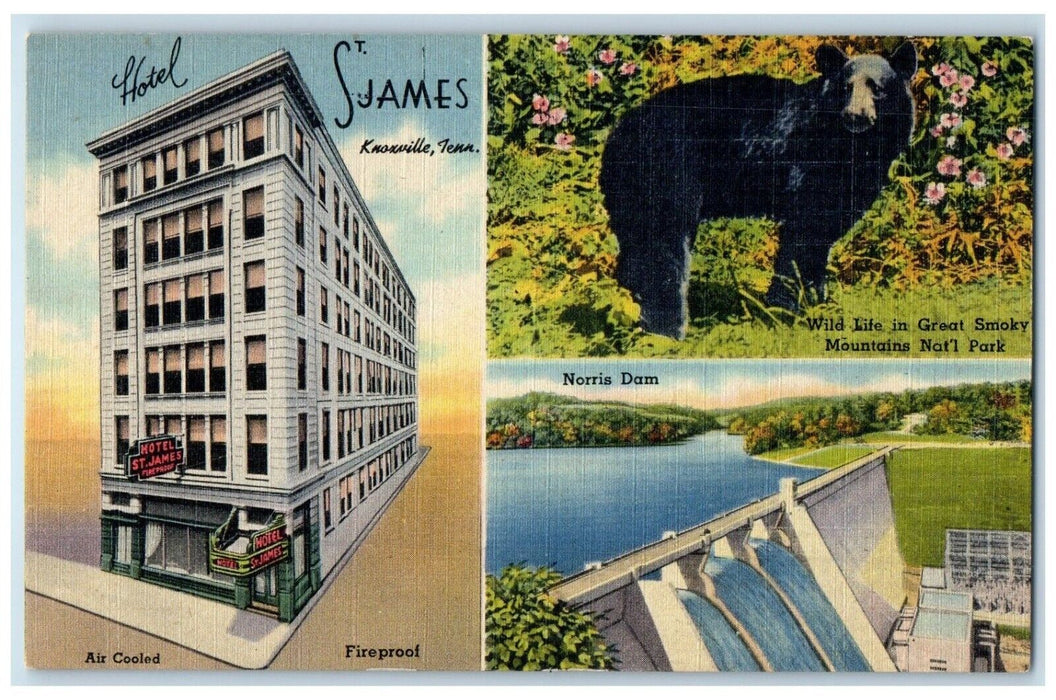 c1940 Hotel St James Multi-View Knoxville Tennessee TN Vintage Unposted Postcard