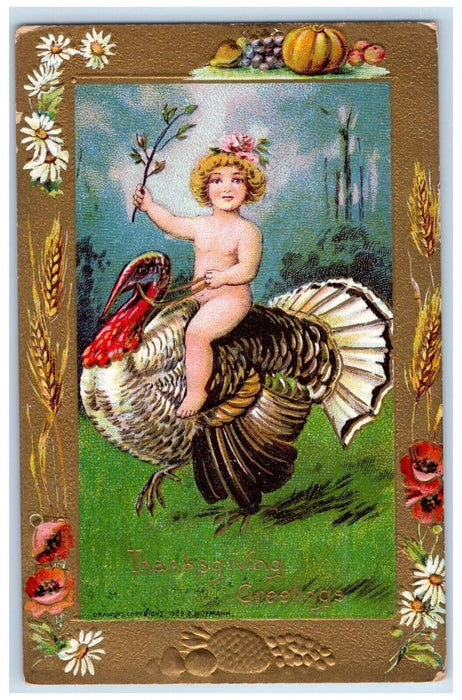Thanksgiving Greetings Little Kid Undressed Riding Turkey Flowers Postcard