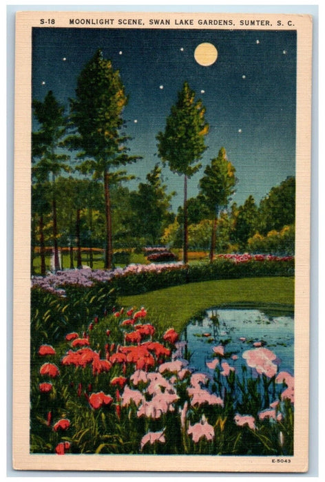 c1940 Moonlight Scene Swan Lake Gardens Sumter South Carolina Vintage Postcard