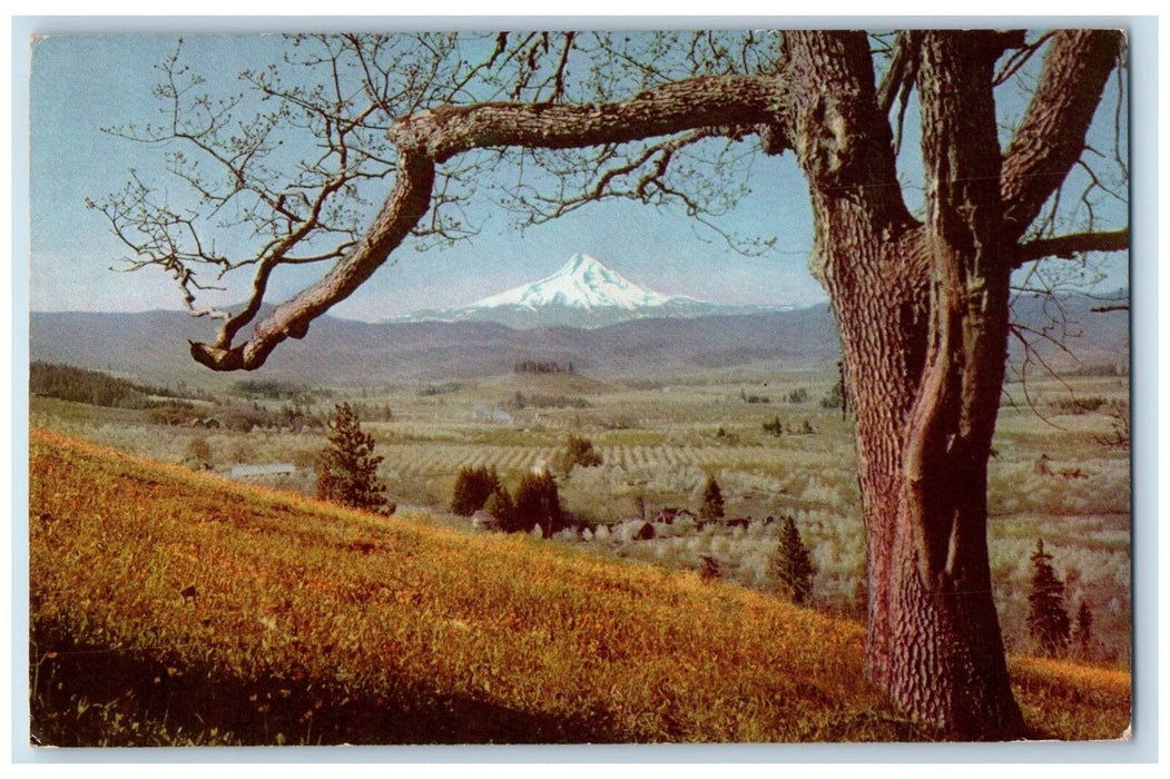 1948 Mt. Hood Scene One Of The Choicest Southeast Of Portland Oregon OR Postcard