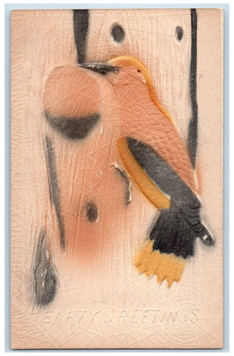 c1910's Hearty Greetings Bird Woodpecker Airbrushed Embossed Antique Postcard