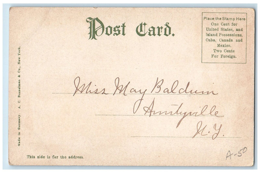 c1905 Institute Park Ground Dirt Path Flag Worcester Massachusetts MA Postcard