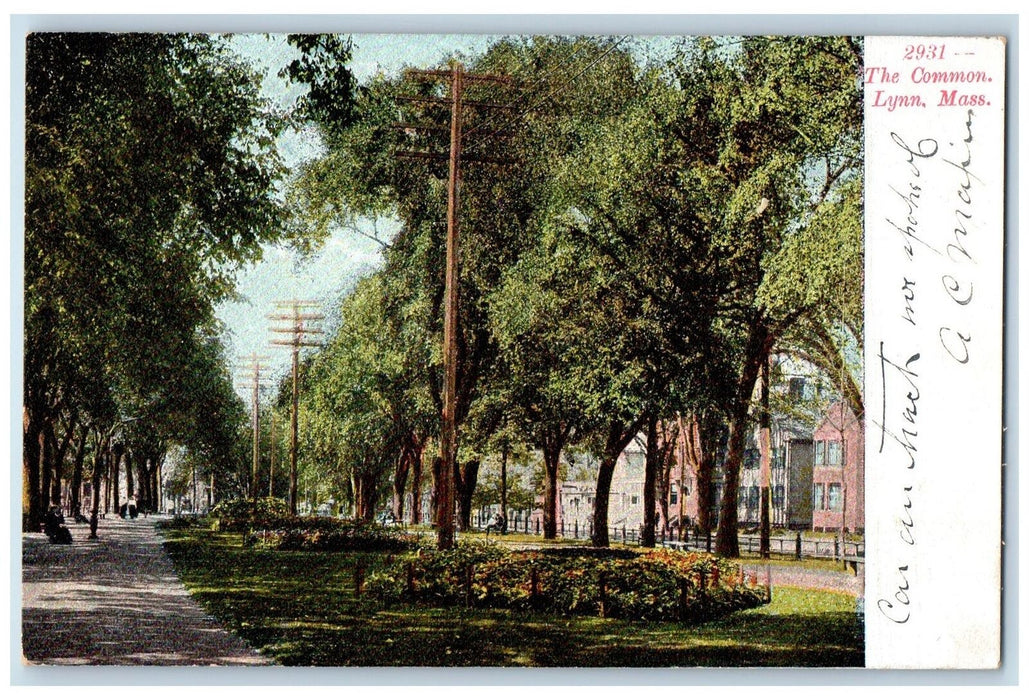 1906 The Common Park Flowers Beads Trees Lynn Massachusetts MA Posted Postcard