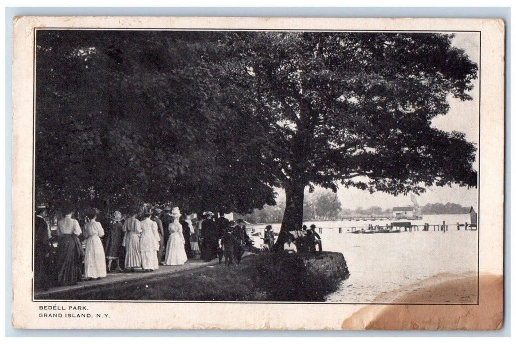 1909 View Of Bedell Park Grand Island New York NY Antique Posted Postcard