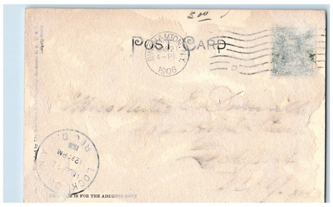 1906 Binghamton Public Library Exterior Building Binghamton New York NY Postcard