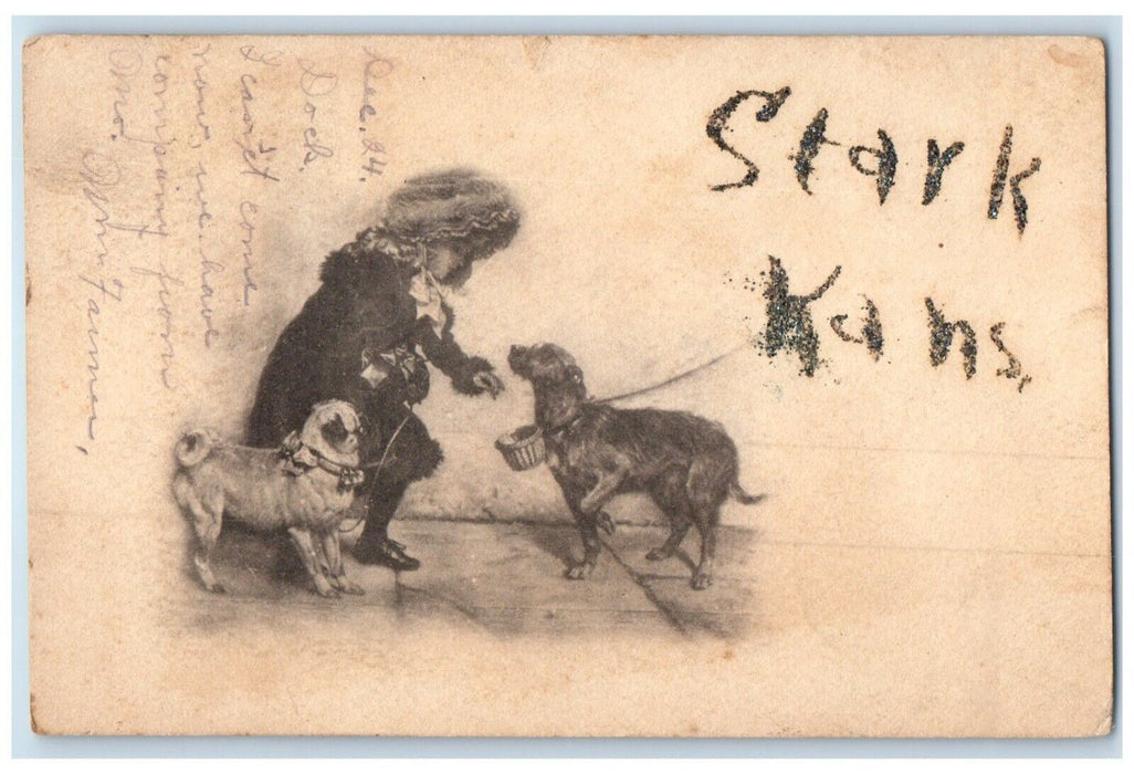 1908 Little Girl And Dogs Glitter Stark Kansas KS, Eurika Springs AR Postcard