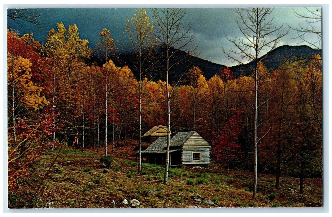 Roaring Fork Motor Trail Near Gatlinburg TN, Great Smoky Mts Nat'l Park Postcard