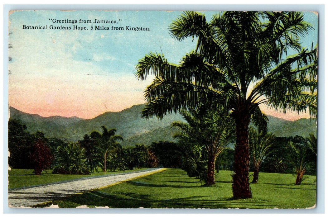 1920 Botanical Gardens Hope Greetings from Jamaica Antique Postcard