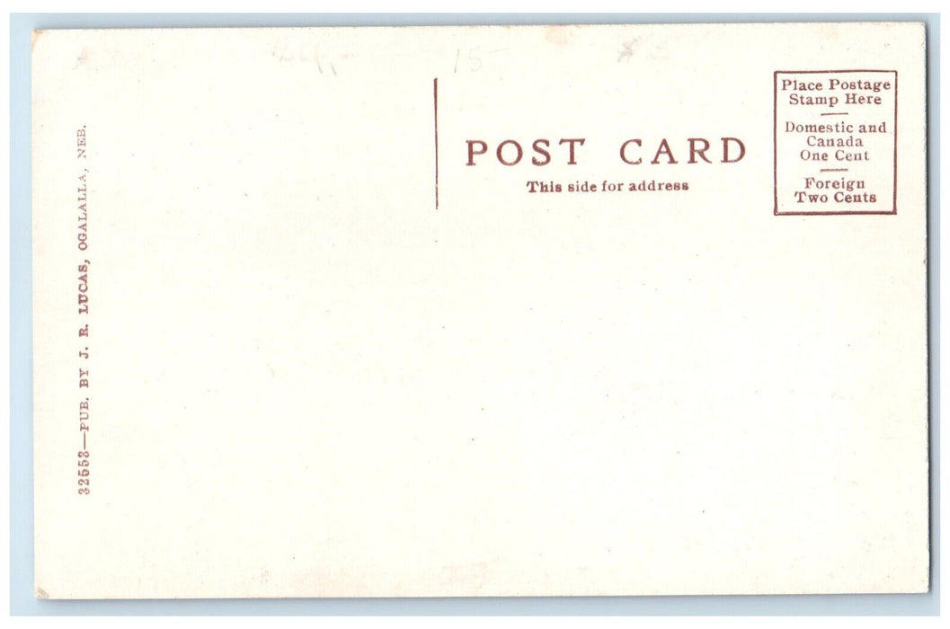 c1910 Overlooking Looking South Ogallala Nebraska NE Vintage Unposted Postcard