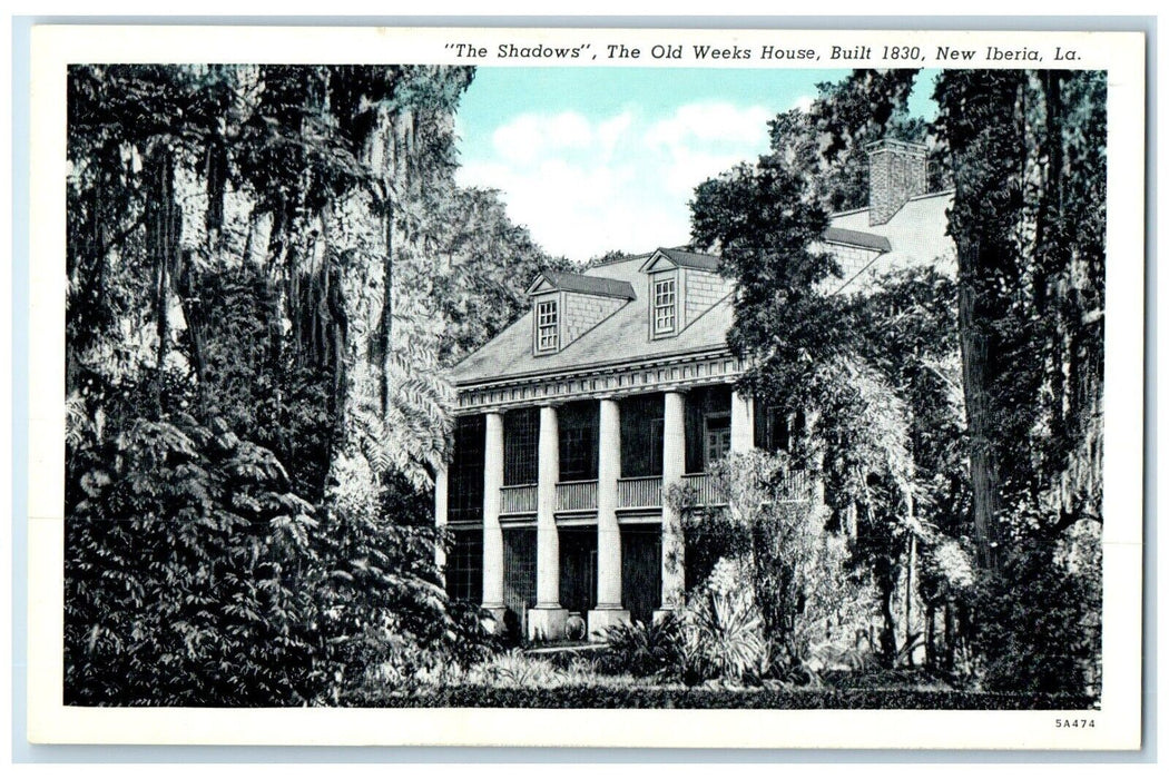 c1930's The Shadows Old Week House New Iberia Louisiana LA Vintage Postcard