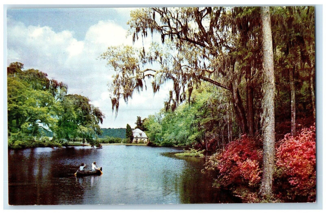 View Of Middleton Gardens Canoeing Charleston South Carolina SC Vintage Postcard