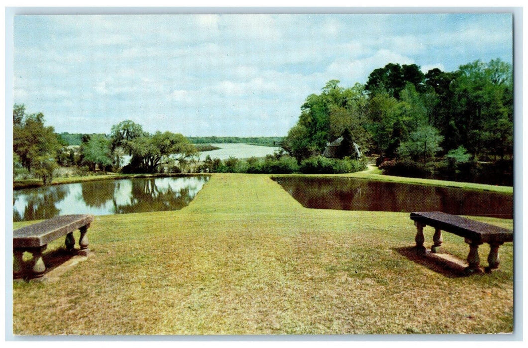 View Of Middleton Gardens Landscaped Charleston South Carolina SC Postcard