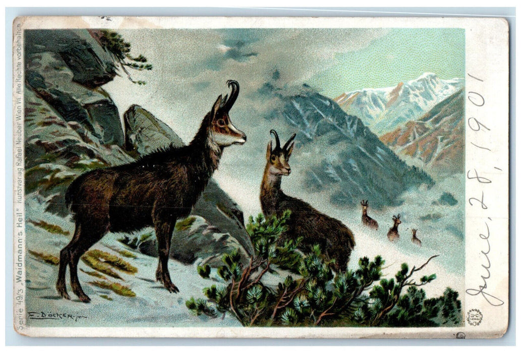 1901 Animals on a Winter Scene Königssee Germany Docker Waidmann's Heil Postcard