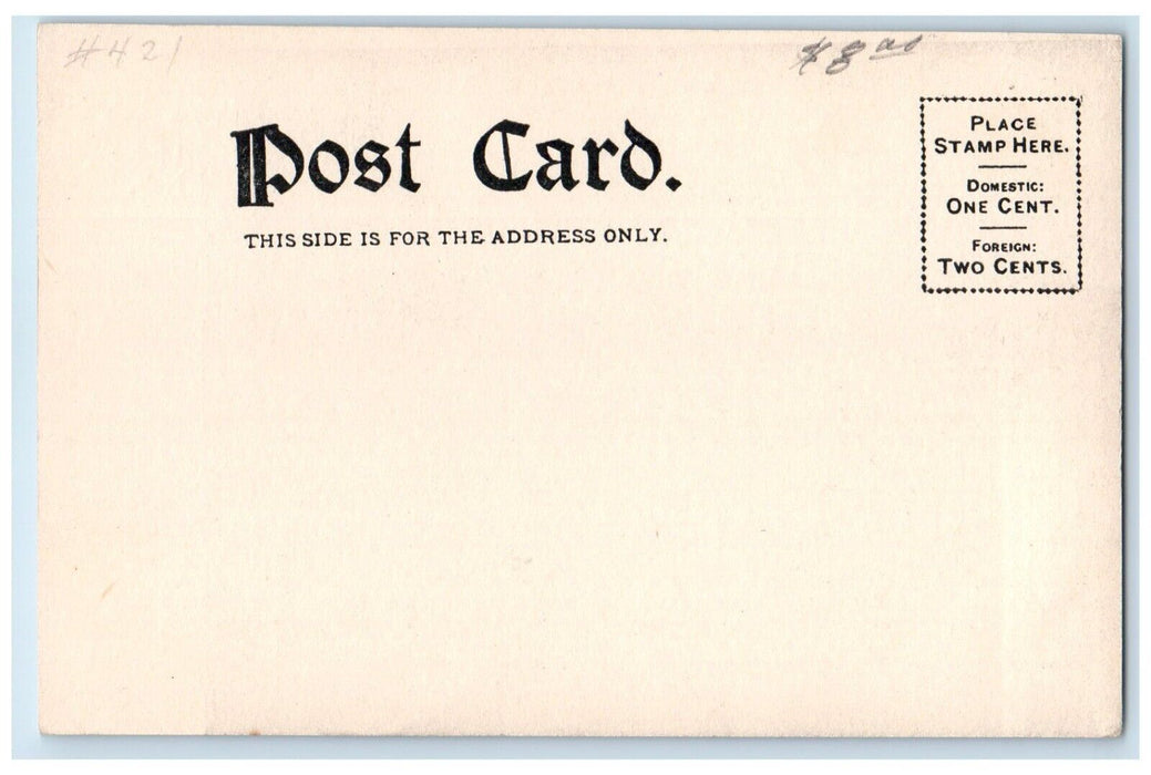 1905 Aerial View Post Office Square Streetcar Carriage Lincoln Nebraska Postcard