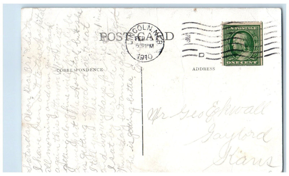 c1910 Horse Prize Winner Nebraska State Fair Lincoln Nebraska NE Posted Postcard