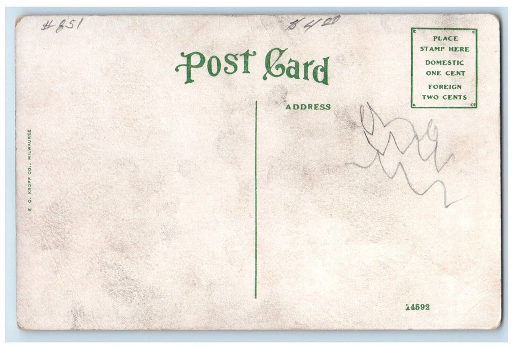 1910 Lexington Mill Elevator Co Building Lexington Nebraska NE Unposted Postcard