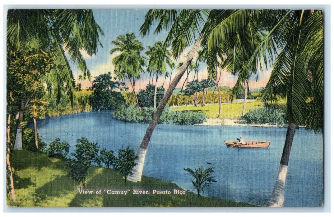 1951 View of Camuy River Puerto Rico Boat Canoe Vintage Posted Postcard
