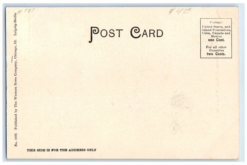1905 Exterior View Heyworth Building Horse Carriage Chicago Illinois IL Postcard