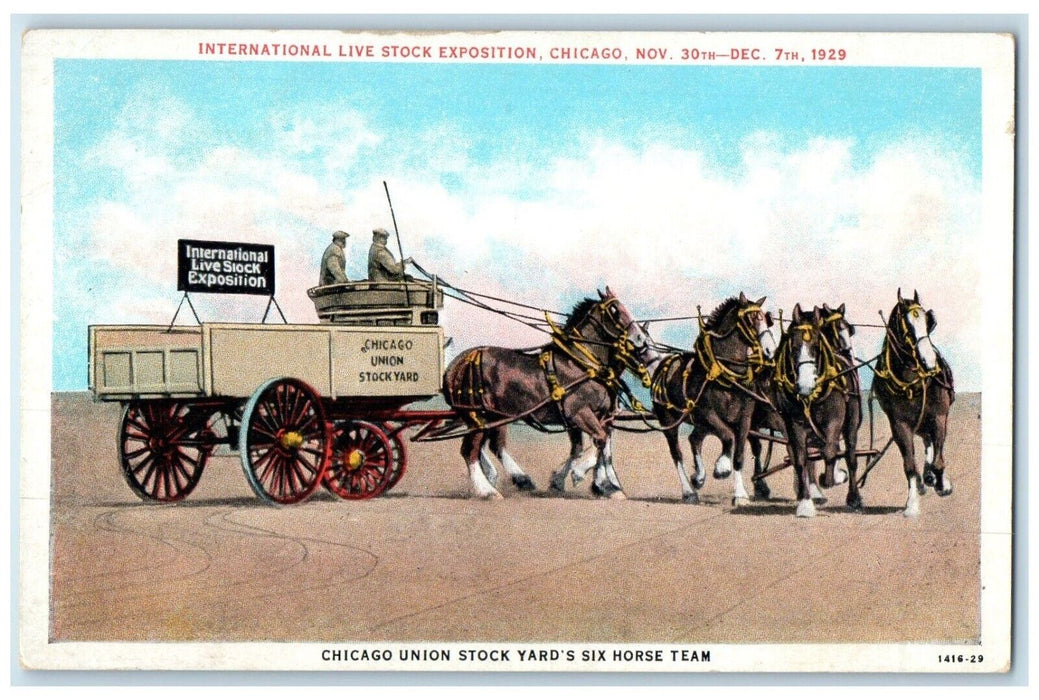 c1920 International Live Stock Exposition Union Stock Chicago Illinois Postcard