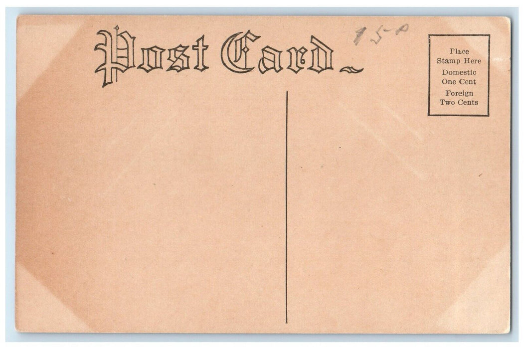 c1910 Exterior View Johnson Hotel Building Horse Carriage Fed Oak Iowa Postcard