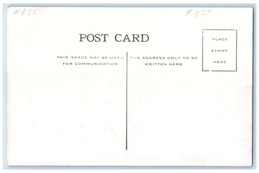 1910 Lovers Lane Fairmount Park Council Bluffs Iowa IA Vintage Unposted Postcard