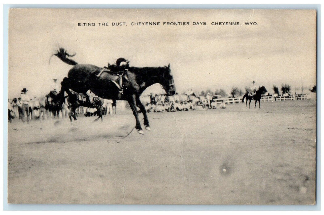 Biting The Dust Cheyenne Frontier Days Cheyenne Wyoming WY Vintage Postcard