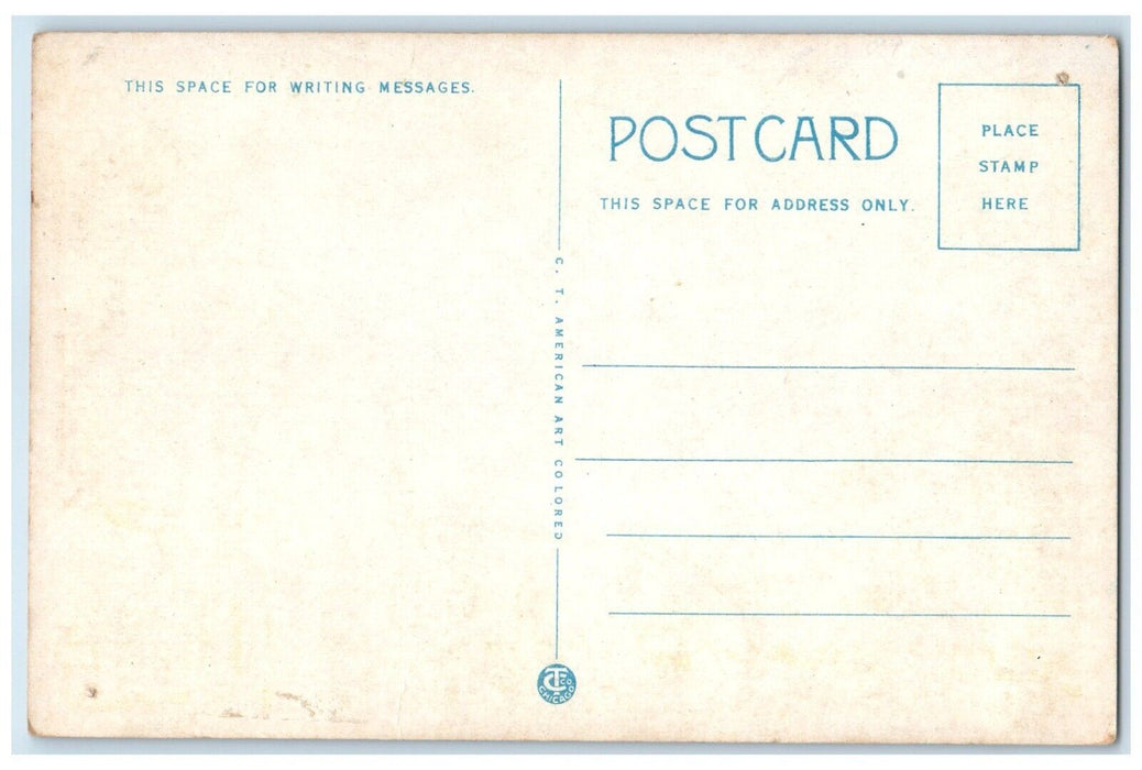 c1930 Main Street East Cherry Street Streetcar Store Galesburg Illinois Postcard