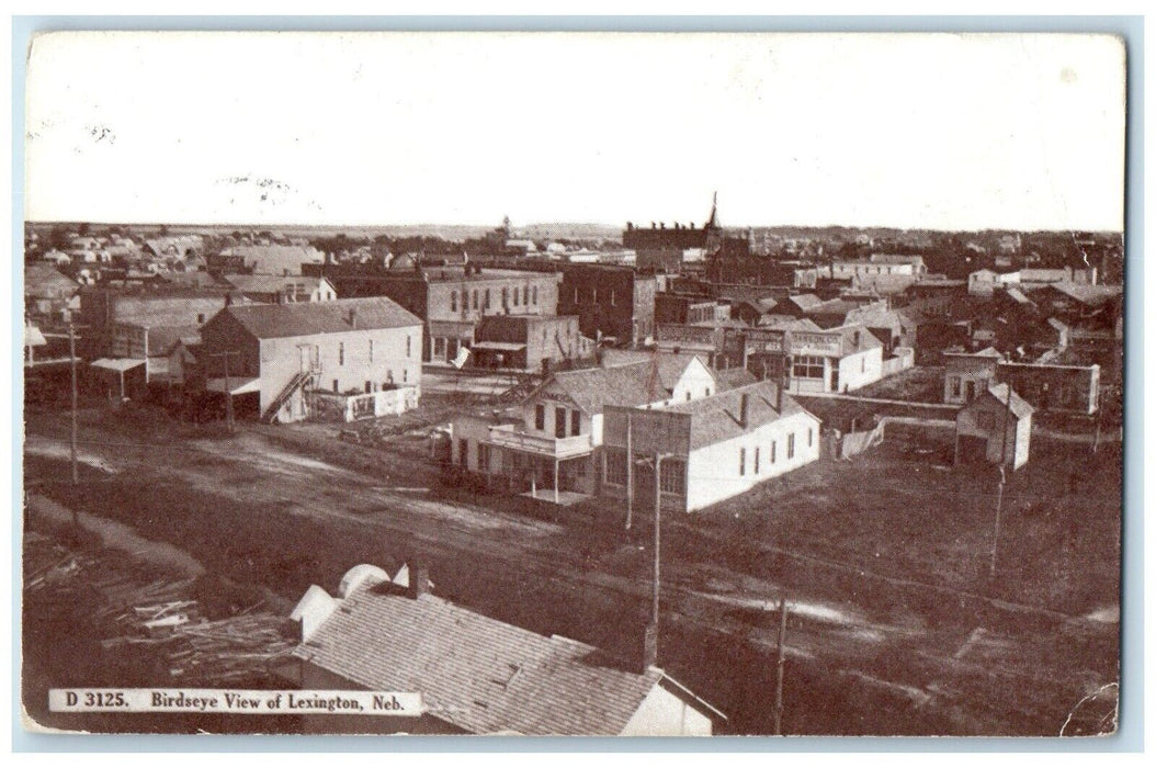 1910 Birds Eye View Of Lexington Nebraska NE Posted Antique Postcard