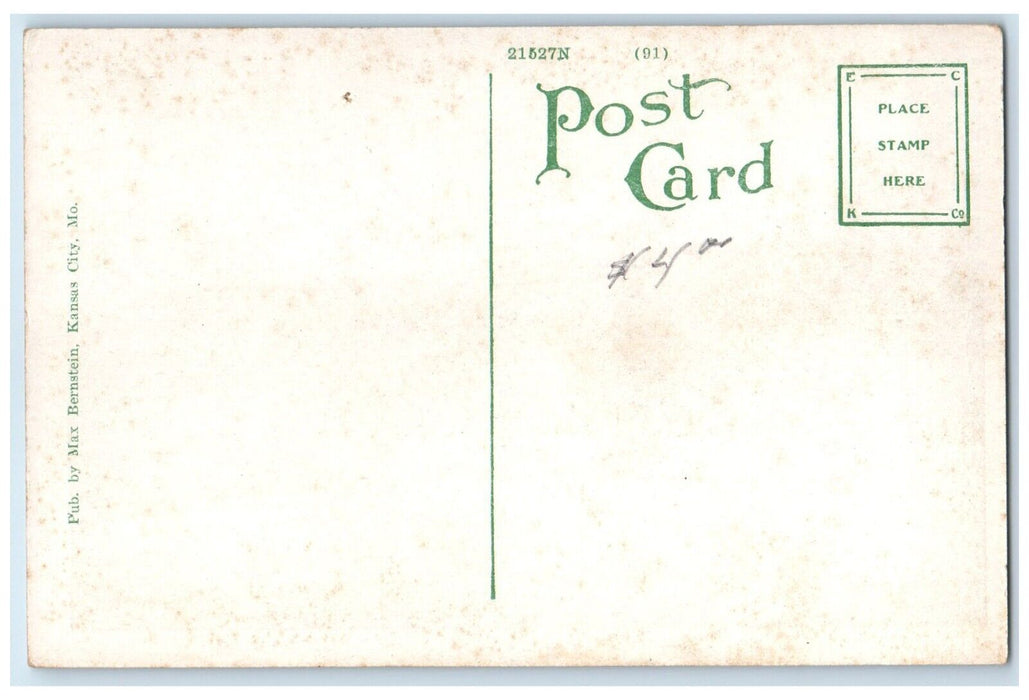 c1920 Scenic View State School Blind Building Kansas City MO Unposted Postcard