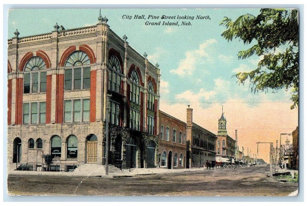 c1910's City Hall Pine Street Looking North Grand Island Nebraska NE Postcard
