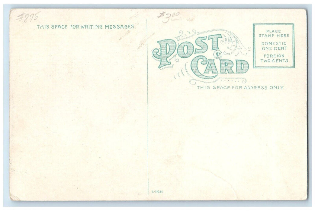 c1910's City Hall Pine Street Looking North Grand Island Nebraska NE Postcard