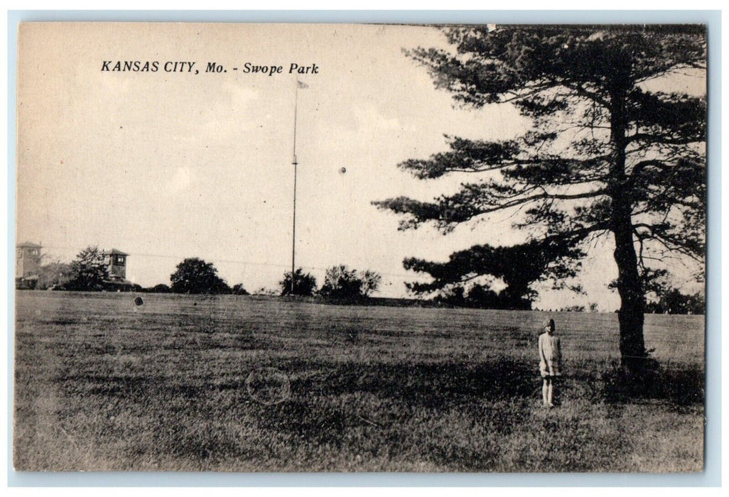 c1940 Swope Park Big Tree Kansas City Missouri Unposted Vintage Antique Postcard