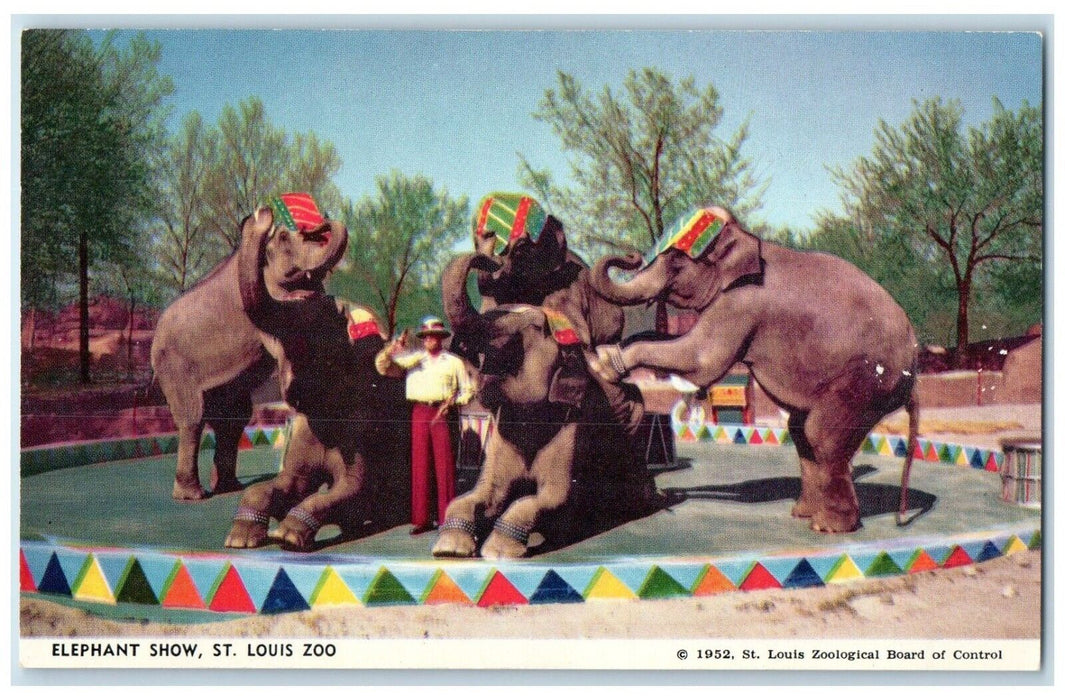 c1950's Elephant Show Floyd Smith St. Louis Zoo Saint Louis Missouri MO Postcard