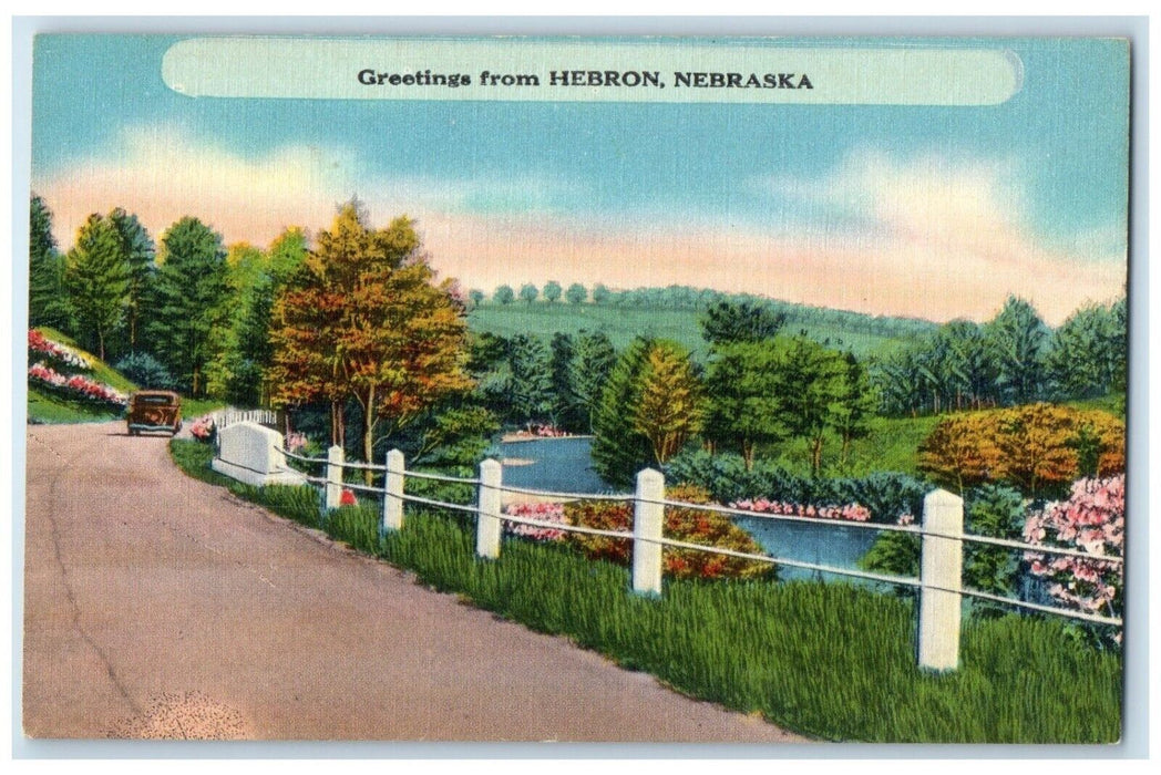 c1910's Greetings From Hebron Nebraska NE, Road Scene Car River Flowers Postcard