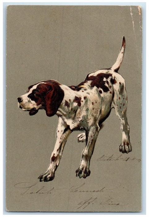 1934 Hound Dog Embossed Springfield Massachusetts MA Posted Antique Postcard