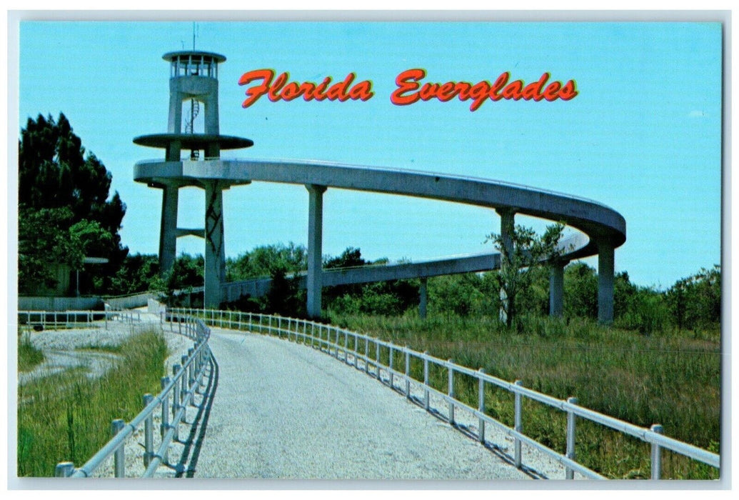 c1960 Observation Tower Shark Valley Everglades National Park Miami FL Postcard