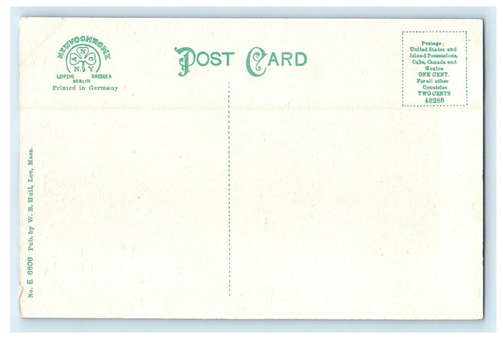 c1910 Park Street Lee Massachusetts MA Unposted Antique Postcard