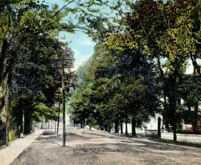 c1910 Park Street Lee Massachusetts MA Unposted Antique Postcard