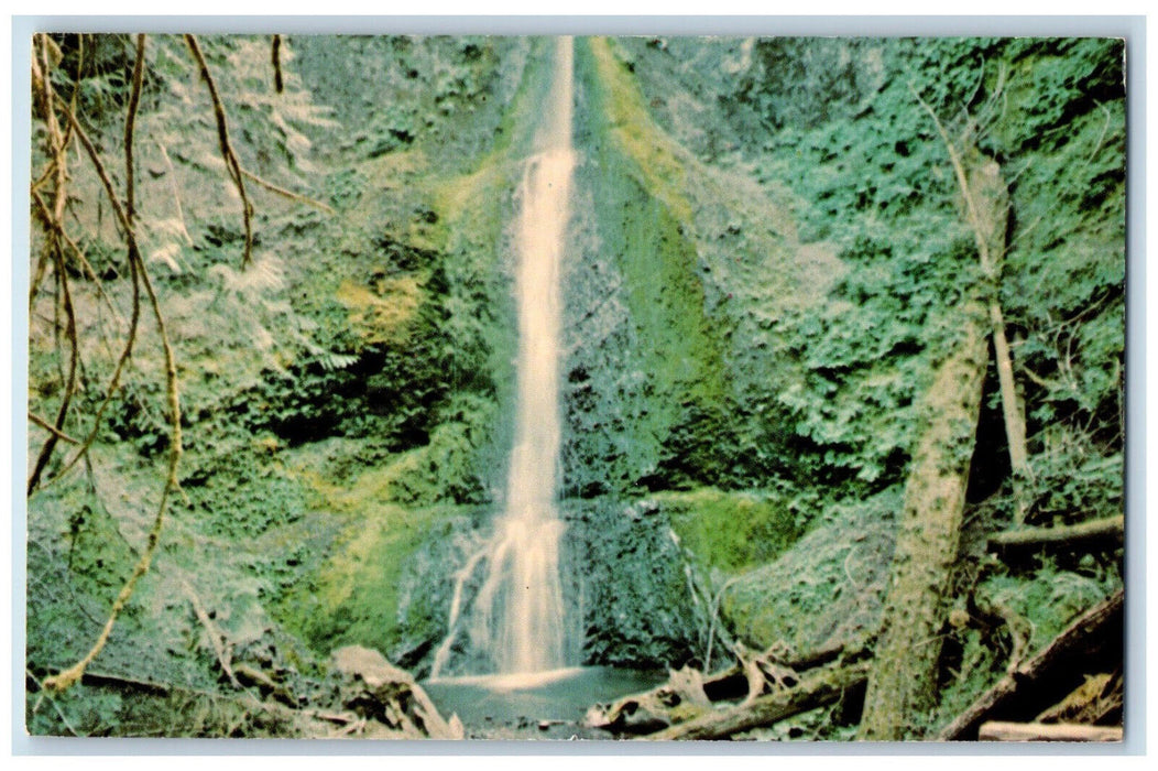 c1950's Marymere Falls at Lake Crescent Olympic National Park WA Postcard