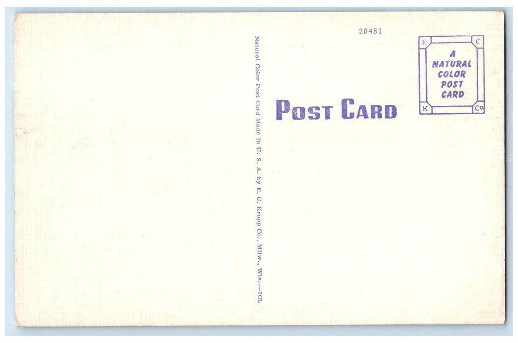 c1940's Sunset Highway and Lake Keechelus In Scenic Washington WA Postcard