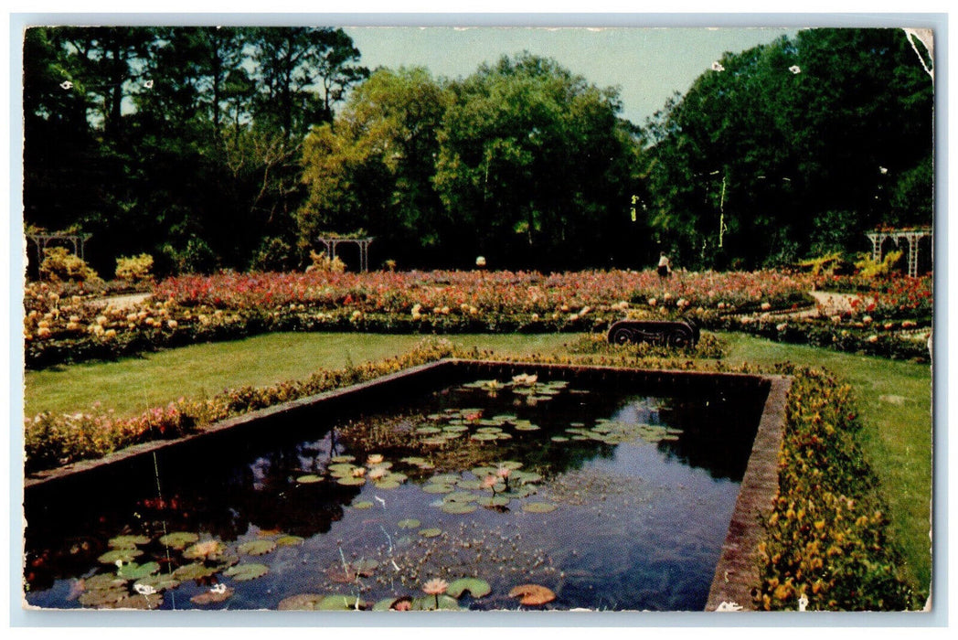 1954 Showing Lily Pool Bellingrath Gardens, Mobile Alabama AL Postcard