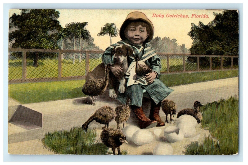 c1905 Child With Dog And Baby Ostriches Hatched Egg Florida FL Antique Postcard