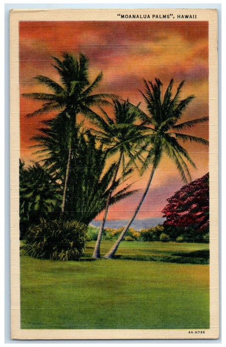 1958 Moanalua Palms Garden Honolulu Hawaii HI Posted Vintage Postcard